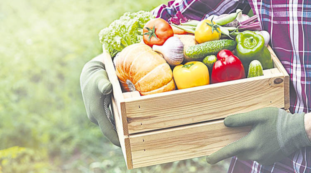 Vegetales y frutas, ayuda contra lademencia senil